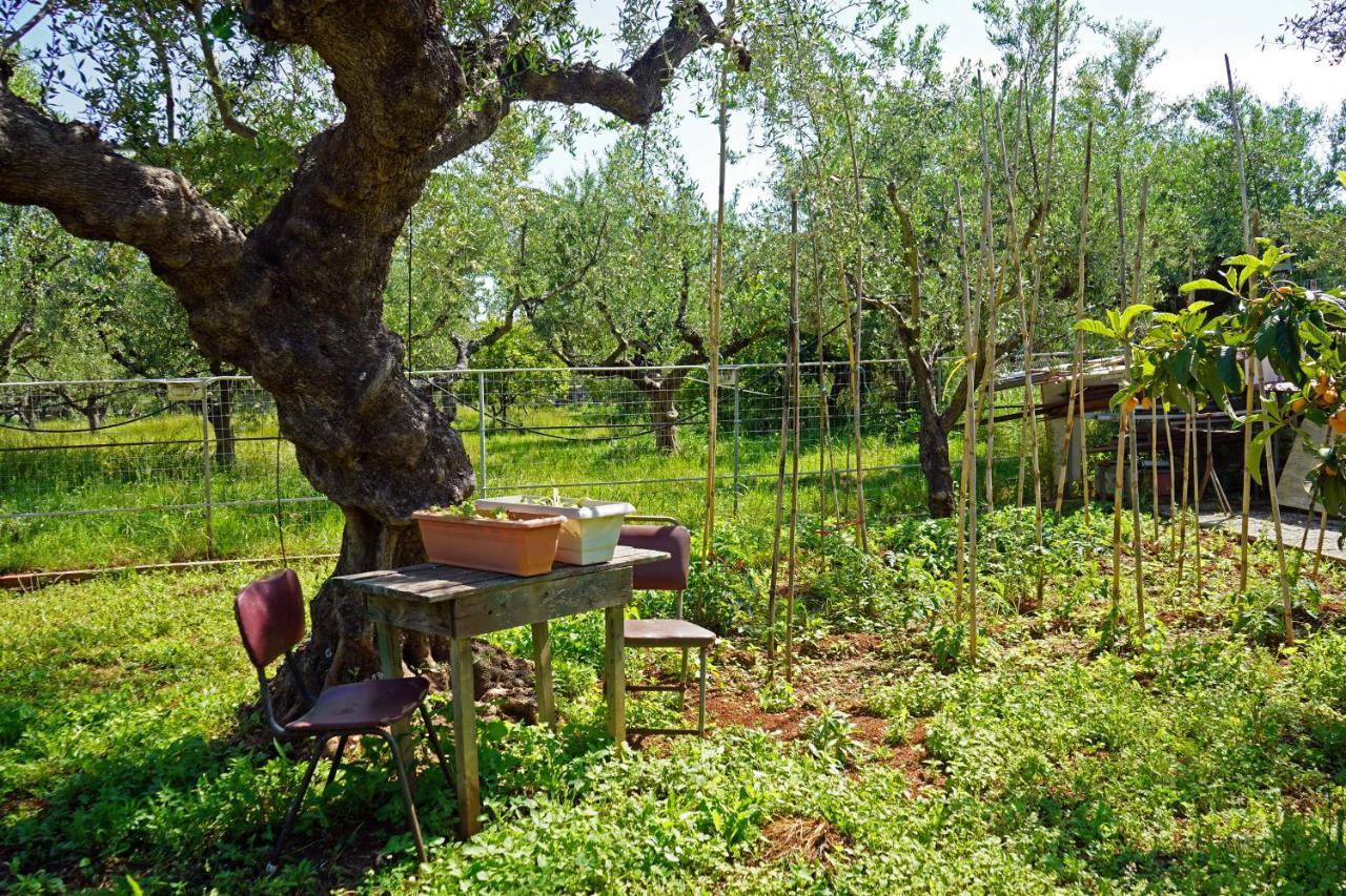 Veni Olive House Villa Kalamata Exterior photo