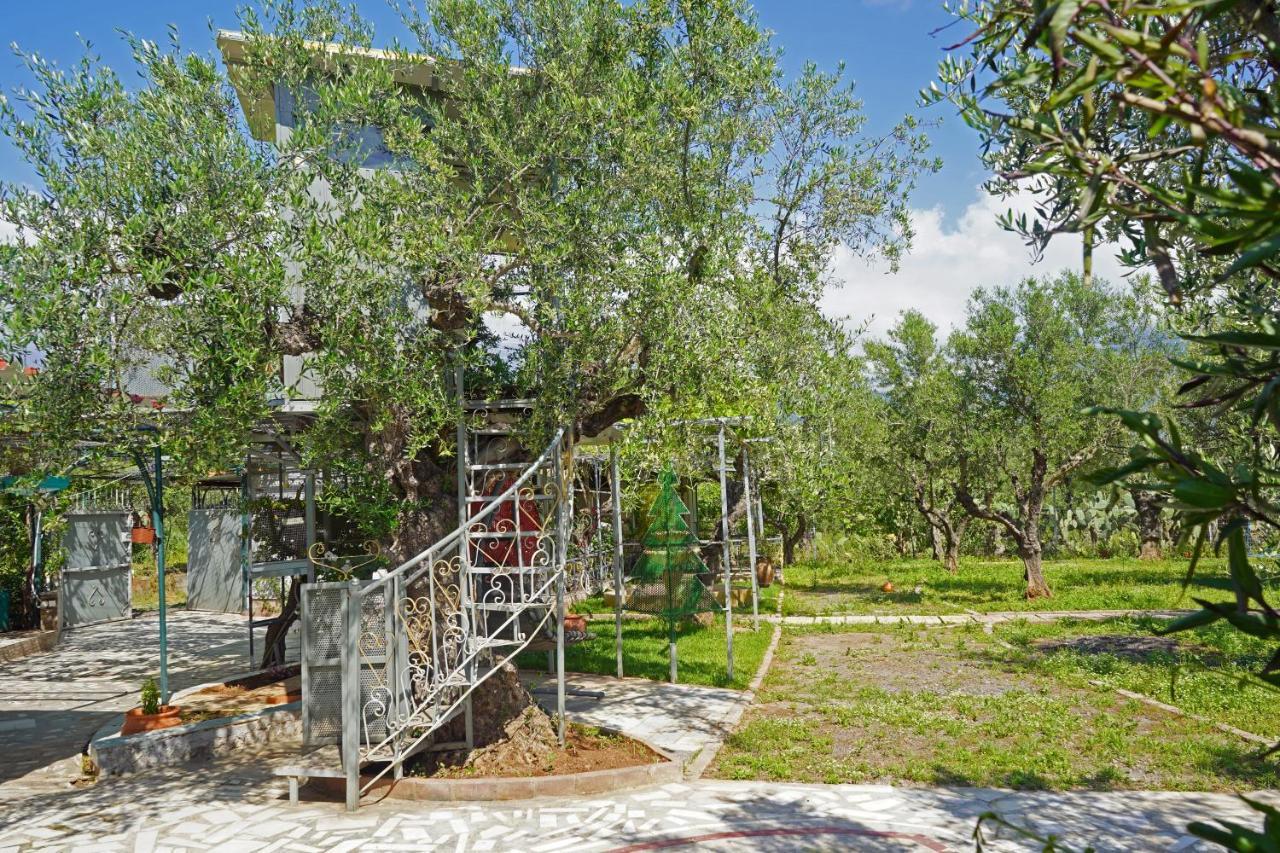Veni Olive House Villa Kalamata Exterior photo